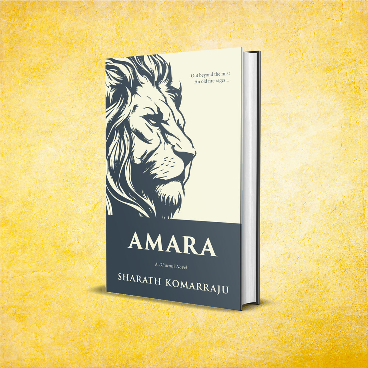 Amara (Dharani, #1)